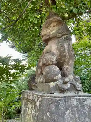 西向天神社の狛犬