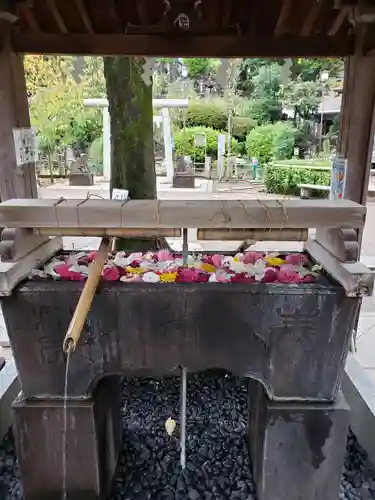 鳩森八幡神社の手水舎