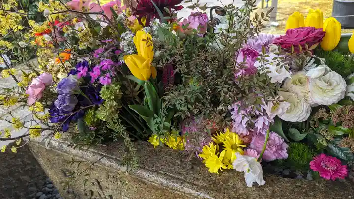 勝林寺(京都府)