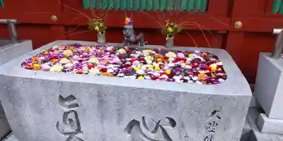 神田神社（神田明神）の手水舎