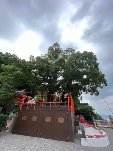 金剛宝寺（紀三井寺）の建物その他