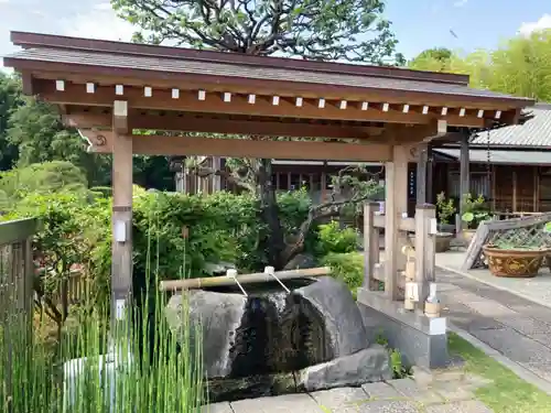 妙蓮寺の手水舎