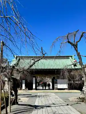 三嶋大社(静岡県)