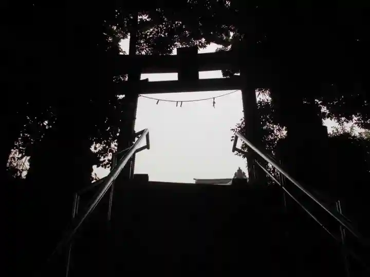 杉山神社(片倉町)の鳥居