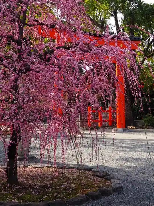 城南宮(京都府)