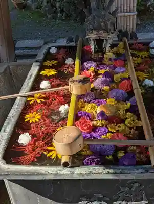 柳谷観音　楊谷寺(京都府)