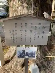 金山神社(愛知県)