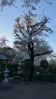 日枝神社(東京都)