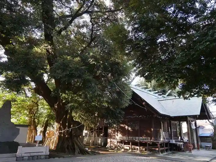 音無神社の本殿・本堂
