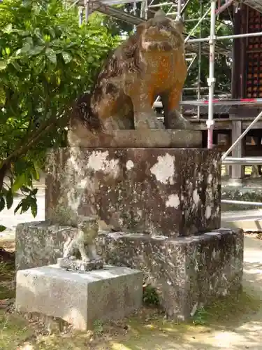 川津来宮神社の狛犬