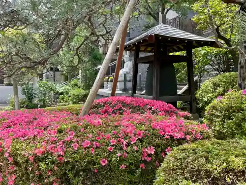 正覚寺(東京都)
