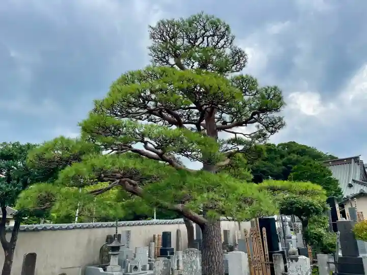 大運寺(神奈川県)