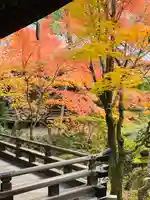 禅林寺(永観堂)(京都府)