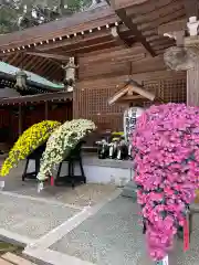 駒形神社の体験その他