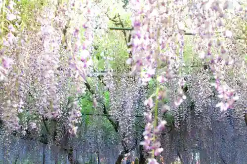 天台宗 五大山 白毫寺の庭園