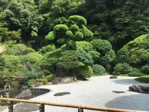 報国寺の庭園