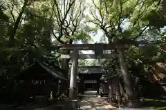 赤坂氷川神社の鳥居