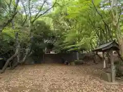 金崎神社の手水