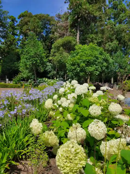 世良田東照宮(群馬県)