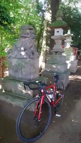 日枝神社の狛犬