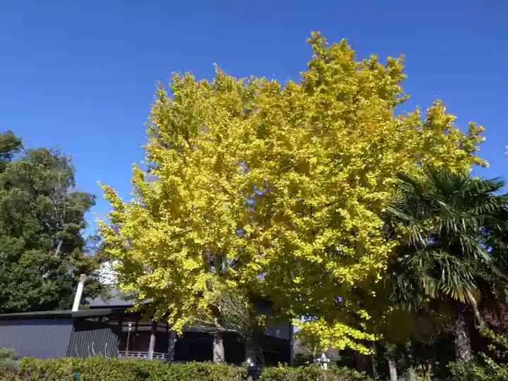 浄妙寺(愛知県)