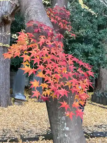 東漸寺(千葉県)