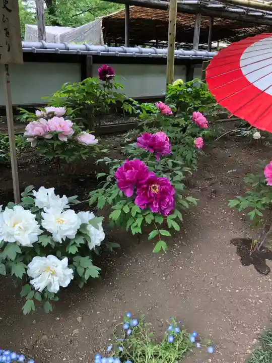 上野東照宮の庭園