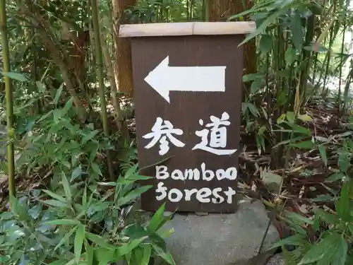 正伝護国禅寺(正伝寺･正傳寺)(京都府)