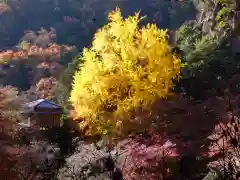 行道山 浄因寺(栃木県)