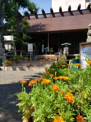 高円寺氷川神社の本殿・本堂