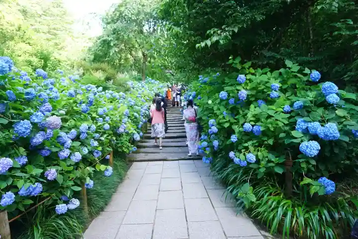明月院のその他建物