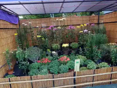 宗像大社(福岡県)