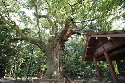 月夜見宮（豊受大神宮別宮）(三重県)