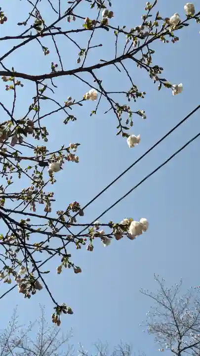 向日神社(京都府)