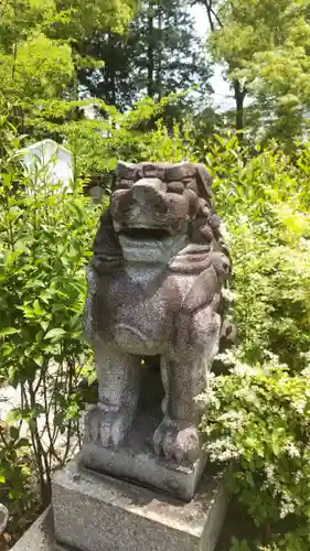 新熊野神社の狛犬