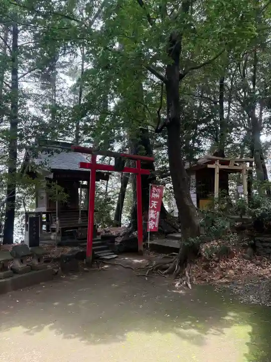開運招福 飯玉神社(群馬県)