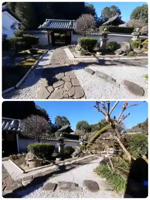 安福寺の{uncategorized: "未分類", other: "その他", undefined: "問題あり", building: "その他建物", grave: "お墓", sacred_gate: "鳥居", guardian: "狛犬", statue: "像", buddha: "仏像", history: "歴史", nature: "自然", garden: "庭園", animal: "動物", pagoda: "塔", temizu: "手水舎", mountain_gate: "山門・神門", sanctuary: "本殿・本堂", subordinate: "末社・摂社", art: "芸術", scenery: "景色", jizo: "地蔵", ema: "絵馬", goshuin: "御朱印", omikuji: "おみくじ", items: "授与品その他", amulet: "お守り", goshuincho: "御朱印帳", eats: "食事", festival: "お祭り", votive_dance: "神楽", shichigosan: "七五三参", wedding: "結婚式", experience: "体験その他", initially: "初詣", around: "周辺", anti_infection: "感染症対策"}