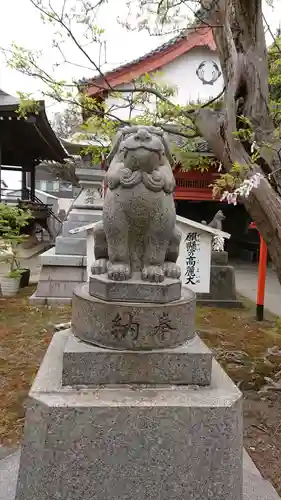 湊稲荷神社の狛犬