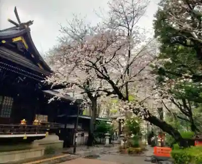 熊野神社(東京都)