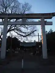 島田八坂神社の鳥居