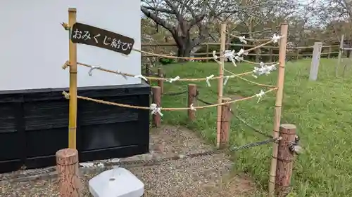 浅間神社のおみくじ