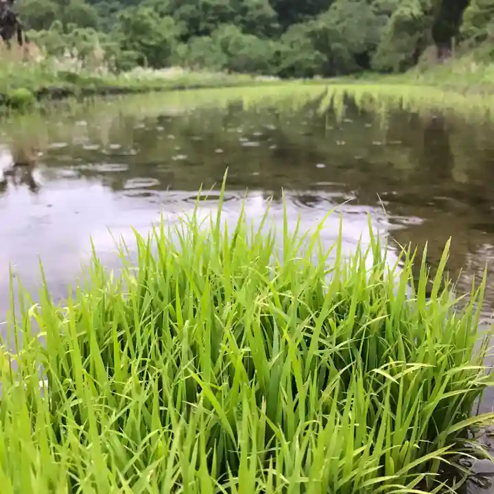 高司神社〜むすびの神の鎮まる社〜の周辺