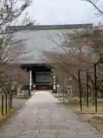 光明寺(粟生光明寺)の本殿・本堂