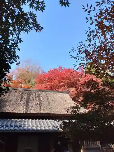 教林坊のその他建物