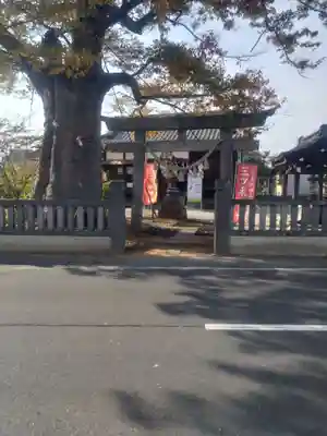 三ツ木神社(埼玉県)