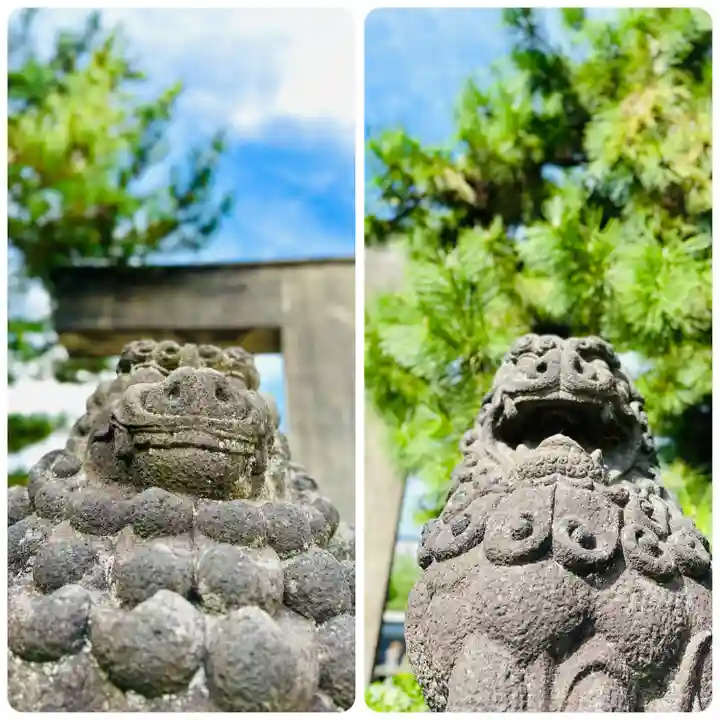 福井神社(福井県)