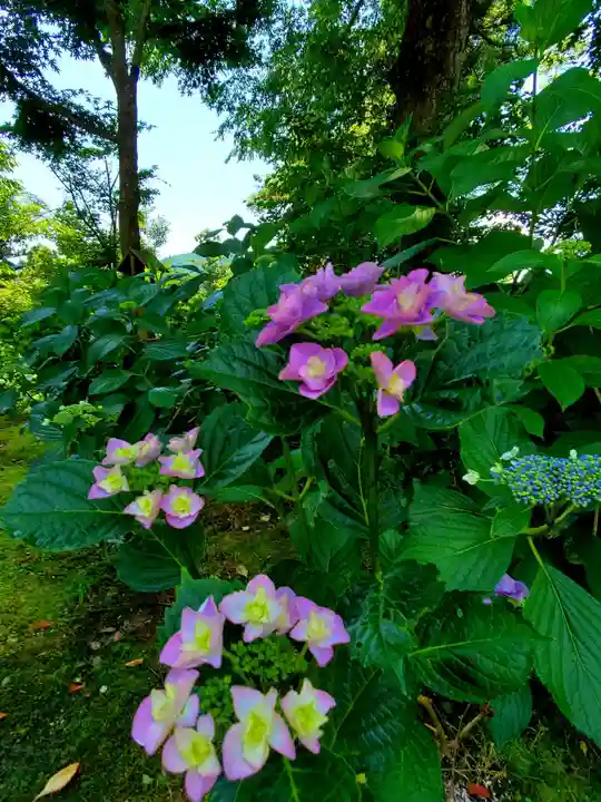 石都々古和気神社の自然