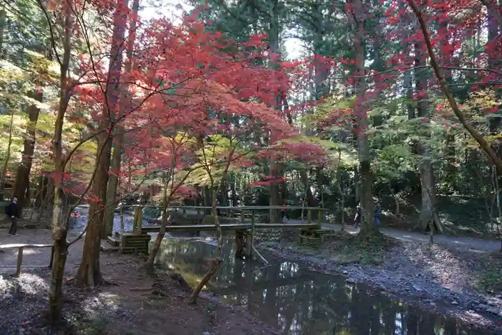 小國神社の自然