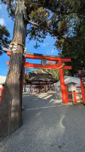 吉田神社(京都府)