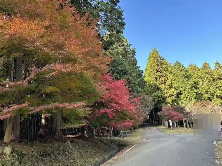椿大神社(三重県)